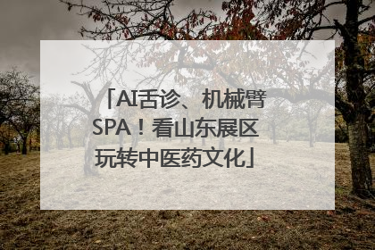 AI舌诊、机械臂SPA！看山东展区玩转中医药文化