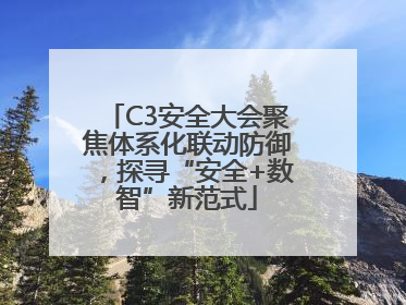 C3安全大会聚焦体系化联动防御，探寻“安全+数智”新范式