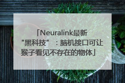 Neuralink最新“黑科技”：脑机接口可让猴子看见不存在的物体