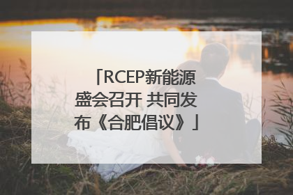 RCEP新能源盛会召开 共同发布《合肥倡议》