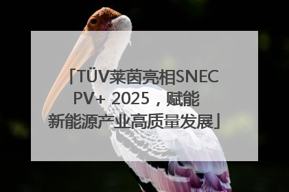 TÜV莱茵亮相SNEC PV+ 2025，赋能新能源产业高质量发展